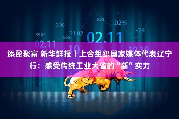 添盈聚富 新华鲜报丨上合组织国家媒体代表辽宁行：感受传统工业大省的“新”实力