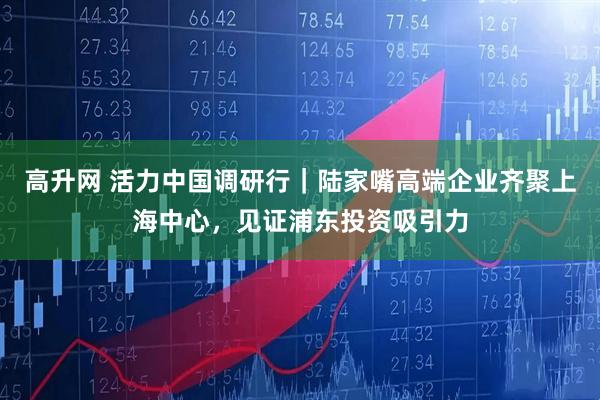 高升网 活力中国调研行｜陆家嘴高端企业齐聚上海中心，见证浦东投资吸引力