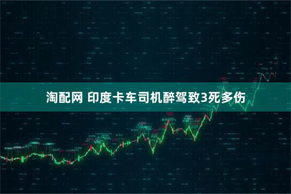淘配网 印度卡车司机醉驾致3死多伤